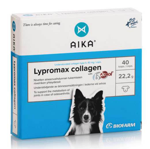 Aika Lypromax collagen 40 Kaps